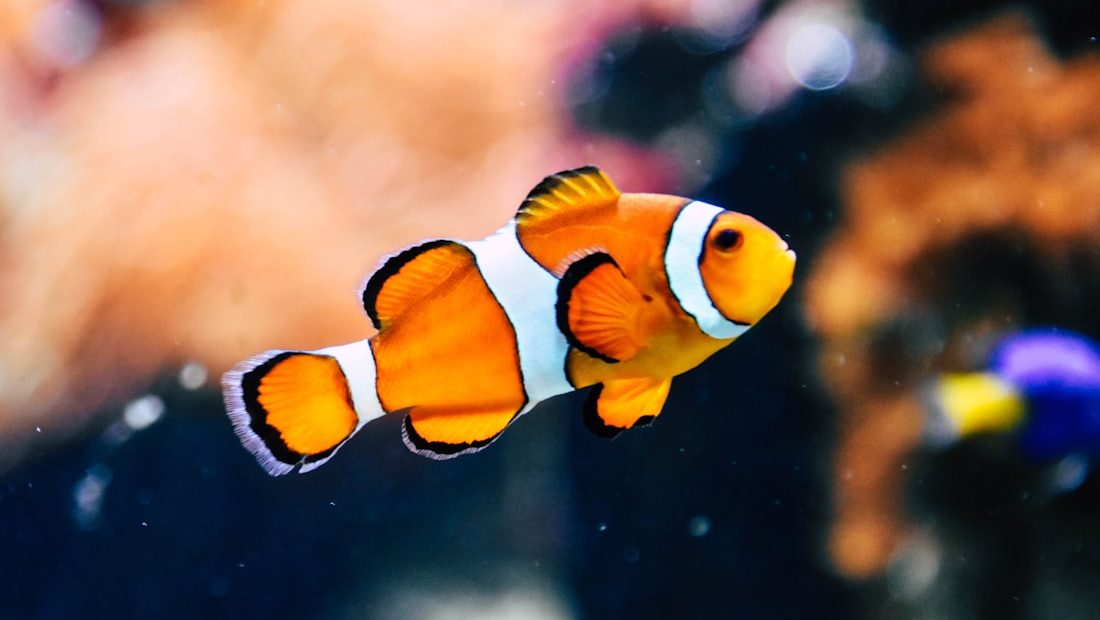 Cách kích hoạt Thần Tài đúng cách để thu hút tài lộc cả năm